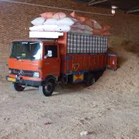 کاه گندم و کاه جو