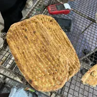 شاطر بربری
