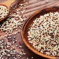 کار آنلاین
