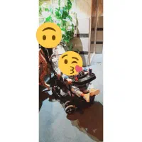 کالسکه دوقلو