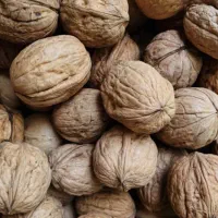 گردوی درجه یک  یک یک، کیلویی ۱میلیون