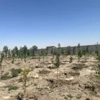 فروش زمین ۱۴۰۰ متری  خرابه امین (امینیه)|فروش زمین و ملک کلنگی|مشهد, صیاد شیرازی|دیوار