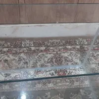 آکواریوم فروش فوری|ماهی|قدس, شهر‌قدس|دیوار