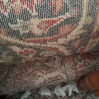 دو عدد فرش ۱۲ متری در حد|فرش|قائم‌شهر, |دیوار