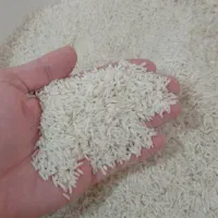 فروش برنج هاشمی،برداشت امسال،ازگیلان،شهرستان ماسال|خوردنی و آشامیدنی|بندرعباس, |دیوار