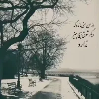 تعدادی مرغ تخم گذار به فروش میرسد