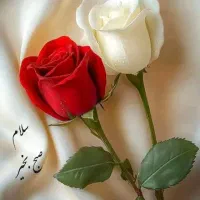 آموزش خیاطی در ،دوره سه ماه وشش،ماه