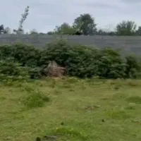 کاشان مشهد اردهال مهدی اباد با چشمه20هکتار