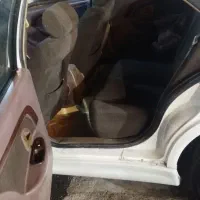 پژوپارس|خودرو سواری و وانت|تهران, الهیه|دیوار