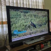 تلویزیون ۴۹ اینچ سونی|تلویزیون و پروژکتور|بندر گز, |دیوار