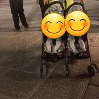 کالسکه ۲قلو