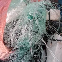 با سلام توررکسی ۴نیم ۴۰۰یارد ۲۵ چشم|ماهیگیری|بوشهر, |دیوار