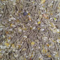 گاوگوسفندبره دان آجیلی بز|لوازم جانبی حیوانات|حمیل, |دیوار