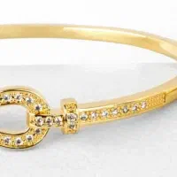 بدلیجات شیک پوش