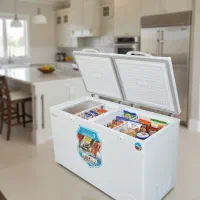 یخچال قفل دار فریزر صندوقی مخصوص فروشگاهی