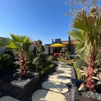 ۴۰۰مترویلاجنگلیاستخردار/فروشفوری،چمستان|فروش خانه و ویلا|هچیرود, |دیوار