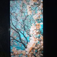 گوشی a10s|موبایل|رضوانشهر, |دیوار