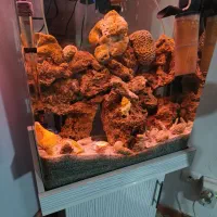 آکواریوم شیشه خم با وسایل