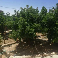 خانه ویلایی جهاد اباد شاهین شهر|اجارهٔ کوتاه‌مدت آپارتمان و سوئیت|شاهین‌شهر, برخوار غرب|دیوار