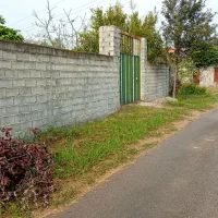 ۲۵۰ متر زمین داخل بافت