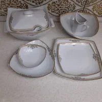 ظروف پردیس چین