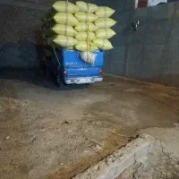 کاه سفیدومرغوب بدون خاک وسنگ