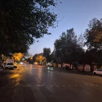 نیاز به همخونه