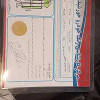 پژو 206 تیپ 5 سالم|خودرو سواری و وانت|تهران, شارق|دیوار
