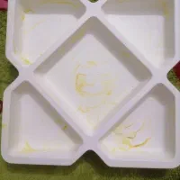 ظروف شیک اردو خوری