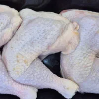 ران /سینه /فیله /بال و بازو|خوردنی و آشامیدنی|تهران, تهرانپارس شرقی|دیوار