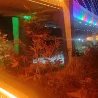 زمین-طرف-بوستان-پل-زندگی