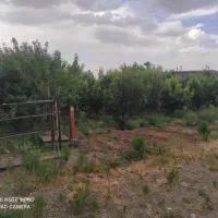 یک واحد دامداری جهت اجاره|اجارهٔ دفتر صنعتی، کشاورزی، تجاری|اشتهارد, |دیوار