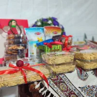 محصولات خانگی زرین هلسا