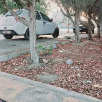 تیبا پلاس