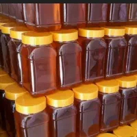 عسل طبیعی و تضمینی|خوردنی و آشامیدنی|علی‌آباد کتول, |دیوار