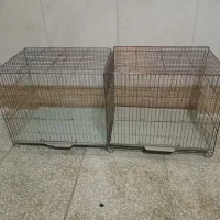 قفس|لوازم جانبی حیوانات|قم, حکمت شمالی|دیوار