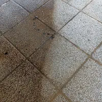 کفسابی|خدمات نظافت|تهران, جنت‌آباد شمالی|دیوار