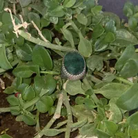 انگشترزمرد زامبیا غول پیکر|جواهرات|قزوین, |دیوار