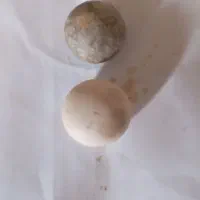 یه2سنگ برای فروش