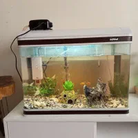 آکواریوم ماهیران ۴۰×۶۰