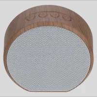 اسپیکر بلوتوثی تسکو مدل 23008Ts