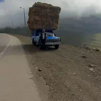 کاه یا سرچینه|لوازم جانبی حیوانات|تالش, تالش|دیوار