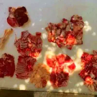 باقیمت قدیم خریدکنید/گوسفند زنده قلمآبی/دولتی|حیوانات مزرعه|مشهد, نوید|دیوار