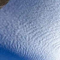 ترکمن صحرایی ساکن تهران