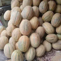 جانان عسلی ۴۵ تومان