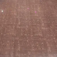 موکت در دو رنگ