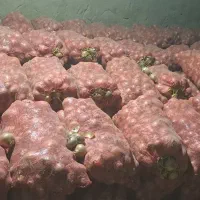 پیاز|عمده‌فروشی|فاروج, |دیوار