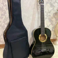 گیتار نو