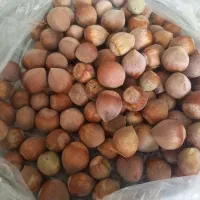 فندوق تازه محصول امسال ارگانیک