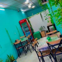 میزو صندلی لوازم کار غذاخوری